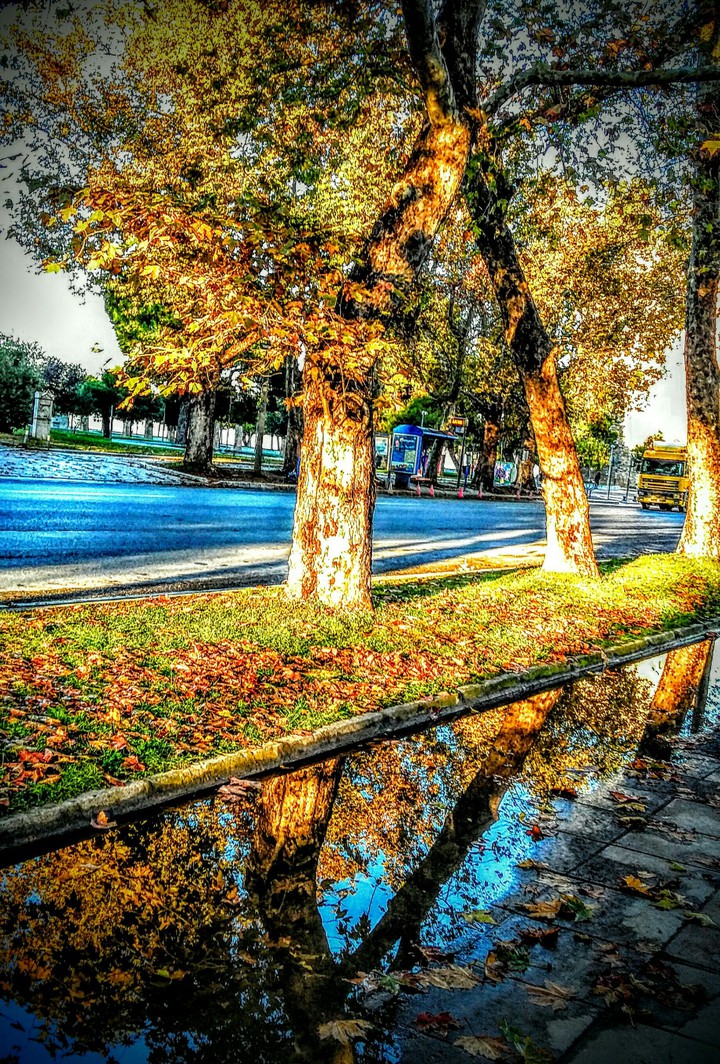 reflections