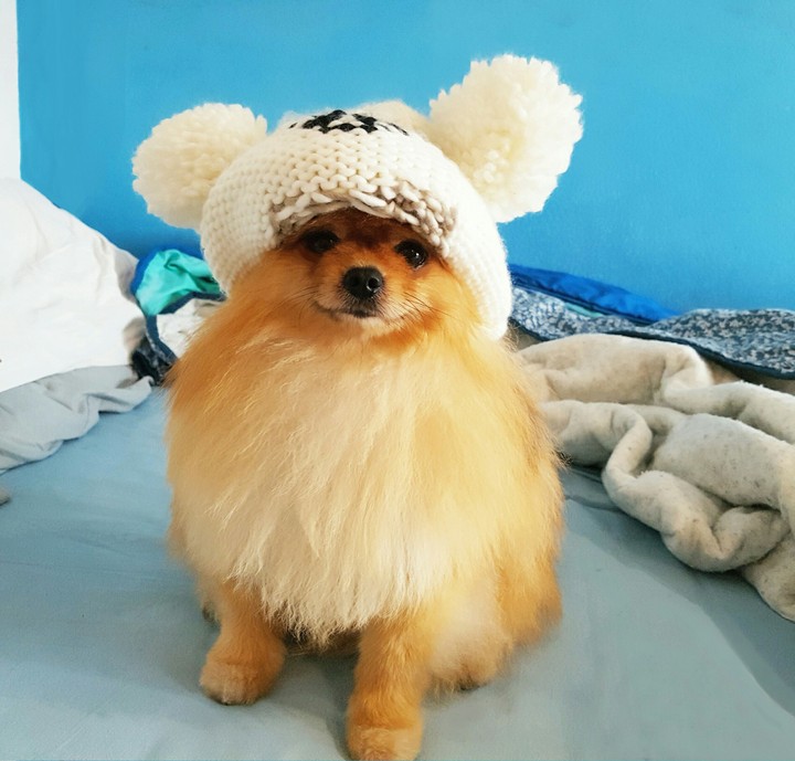 My Sweetie boy