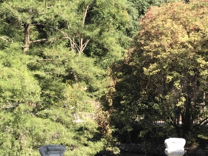 Parque del Retiro