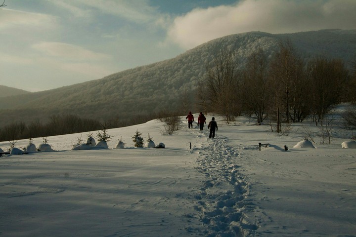 Winter mountains