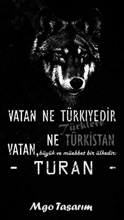 bozkurt