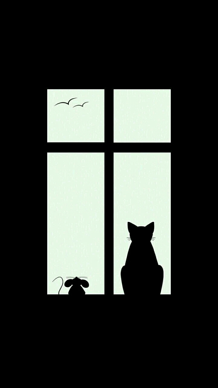 cat&mouse