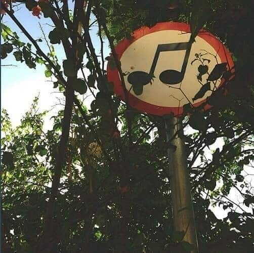 ?