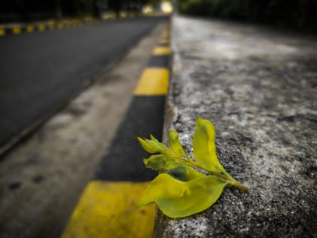 photography