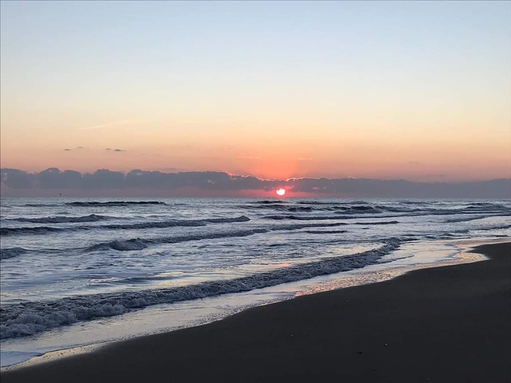 Alba