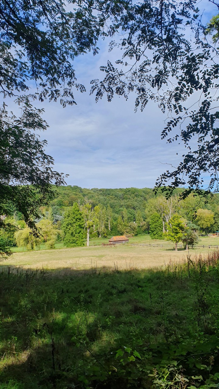 campagne écurie