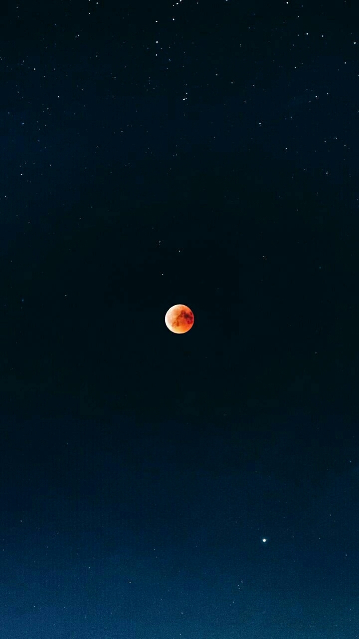Moon Night