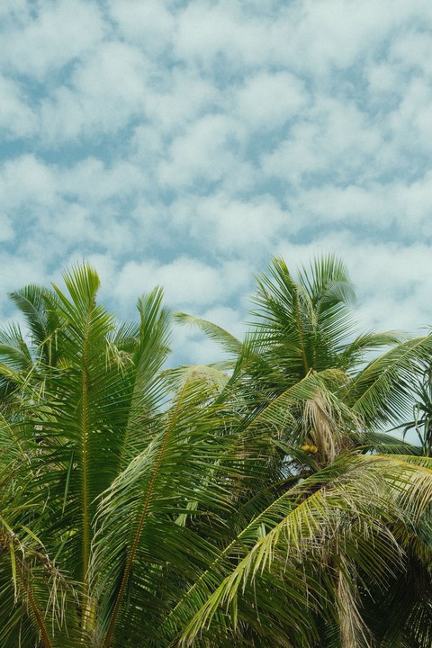 fondos de pantalla sky, daytime