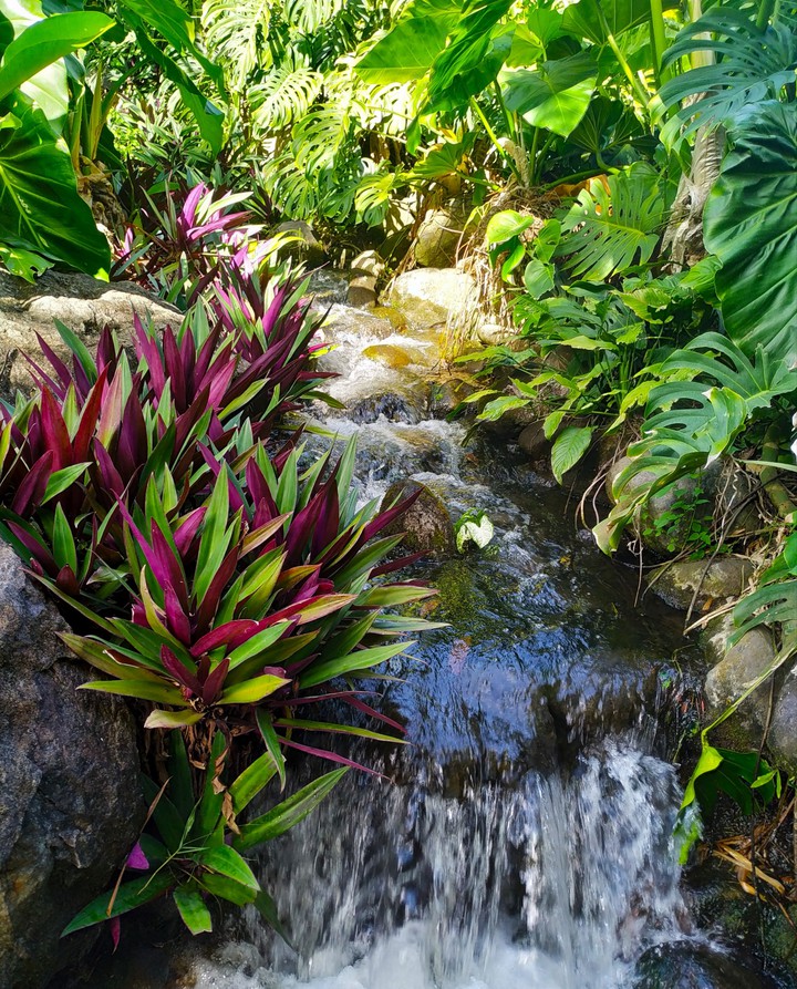 petite rivière