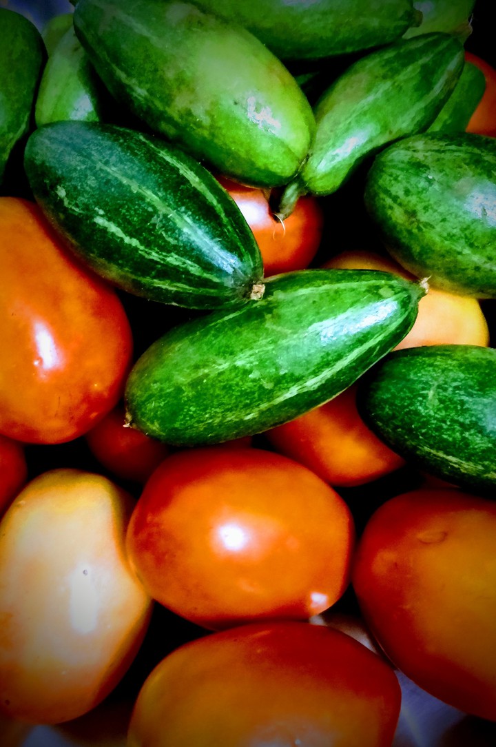 Pointed Gourd