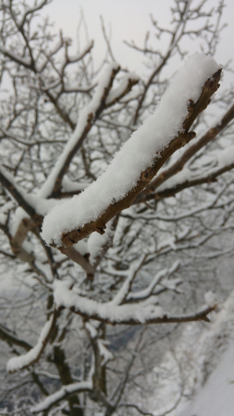 snow