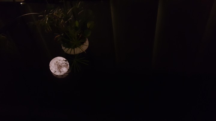 The reflection