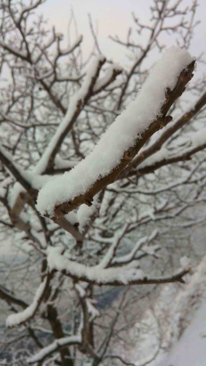 snow
