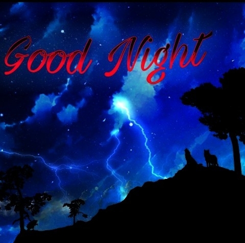 good night