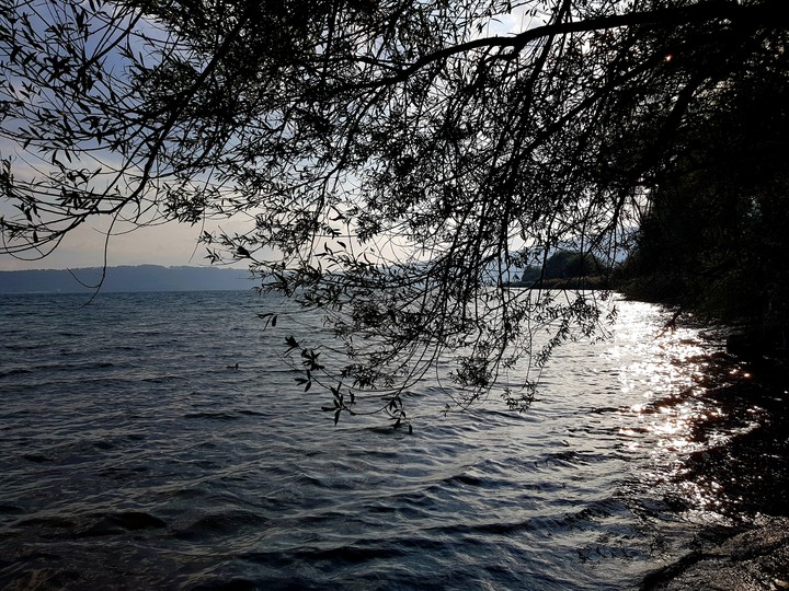 Lago di Vico