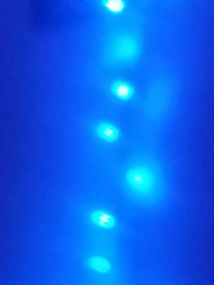 Lights