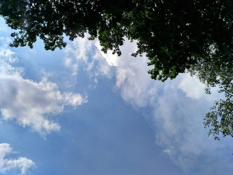 Sky