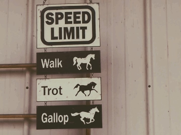 Equestrian Speed Limit