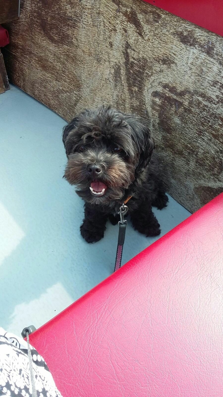 On the boat