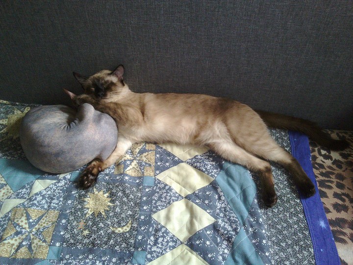Влюблённые.