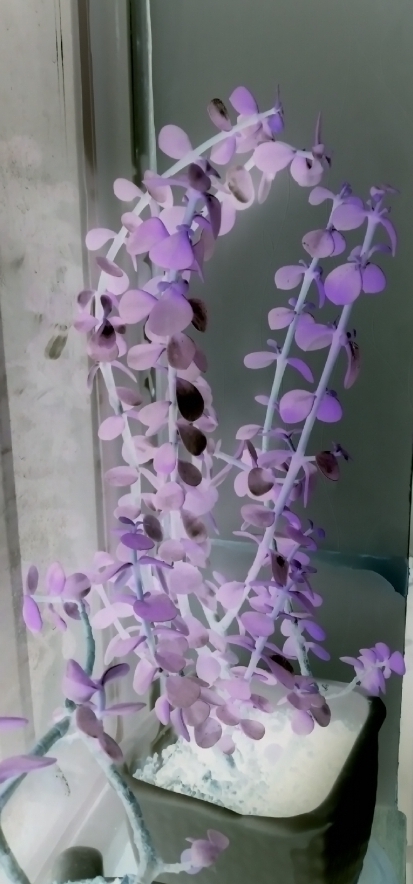 ‌