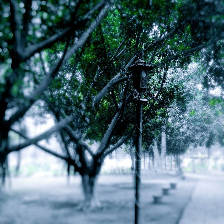 cold morning!