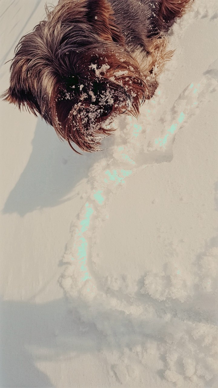snow
