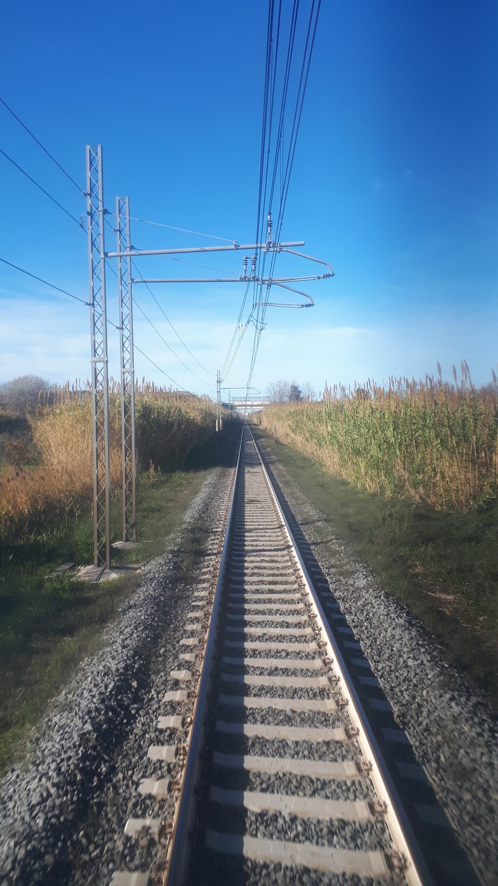 train