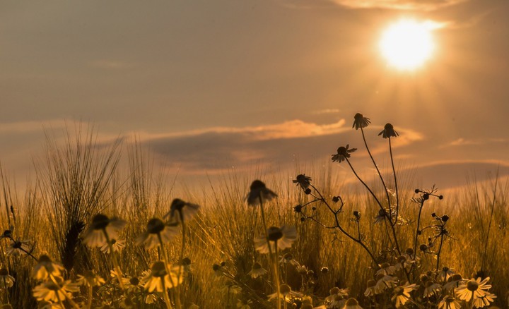 sun