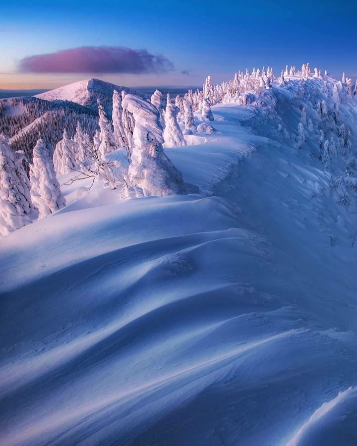 С