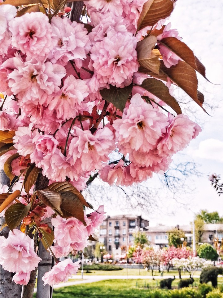 Zaporozhye, Ukraine ?