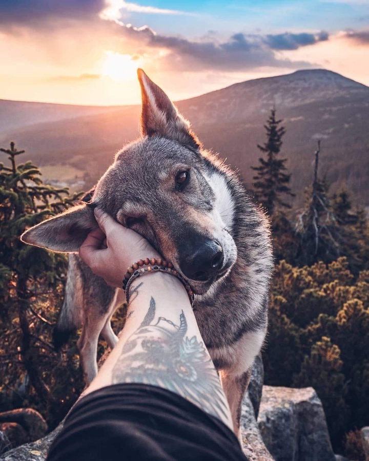 ⭐