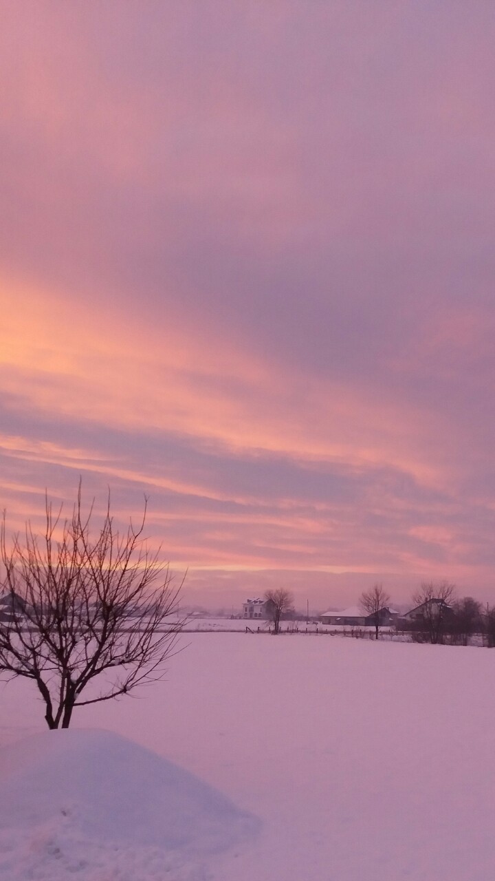 Vanila Sky