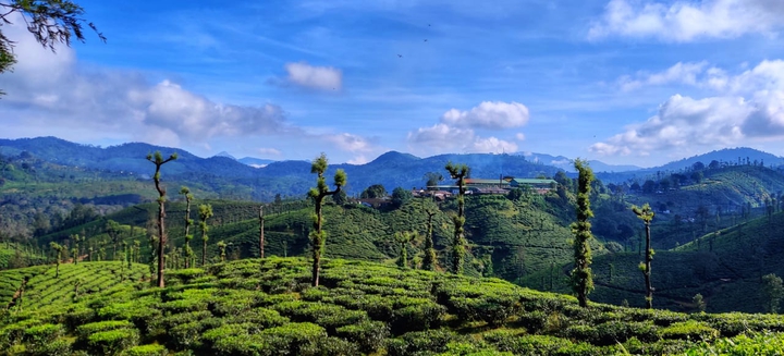 Athripalli, Kerala to Valparai, TN towards Western Ghats