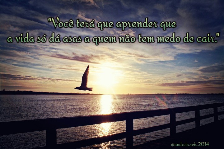 Voar