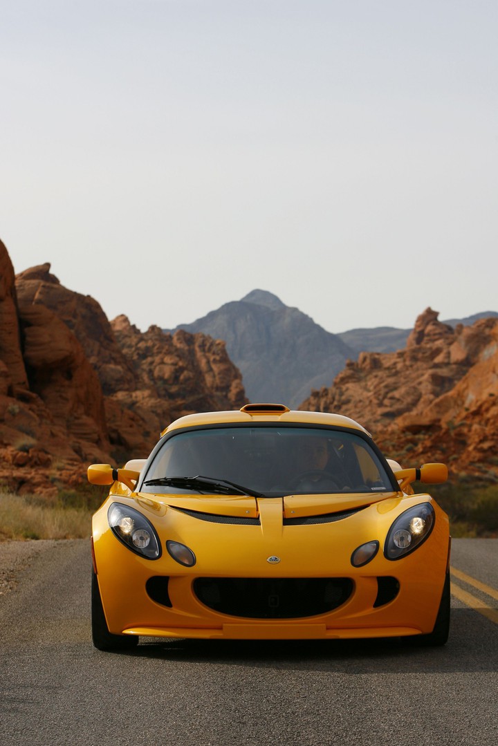 lotus
