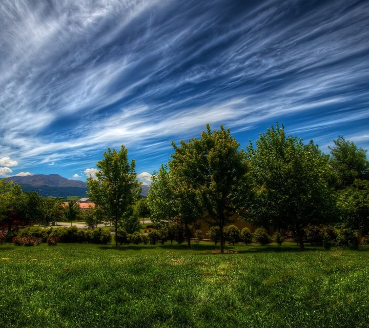 nature