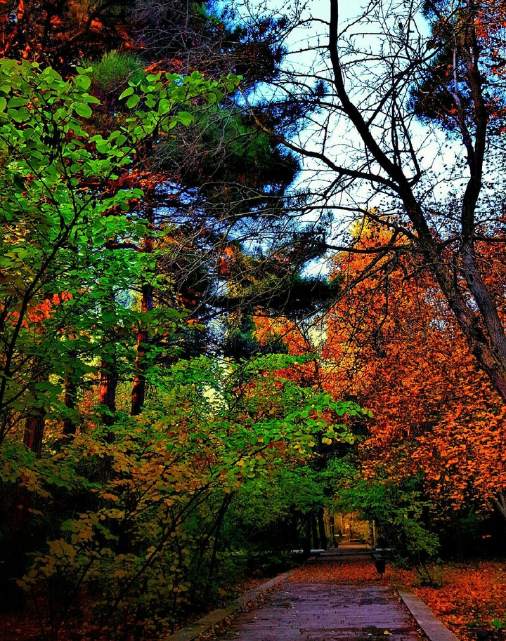 autumn