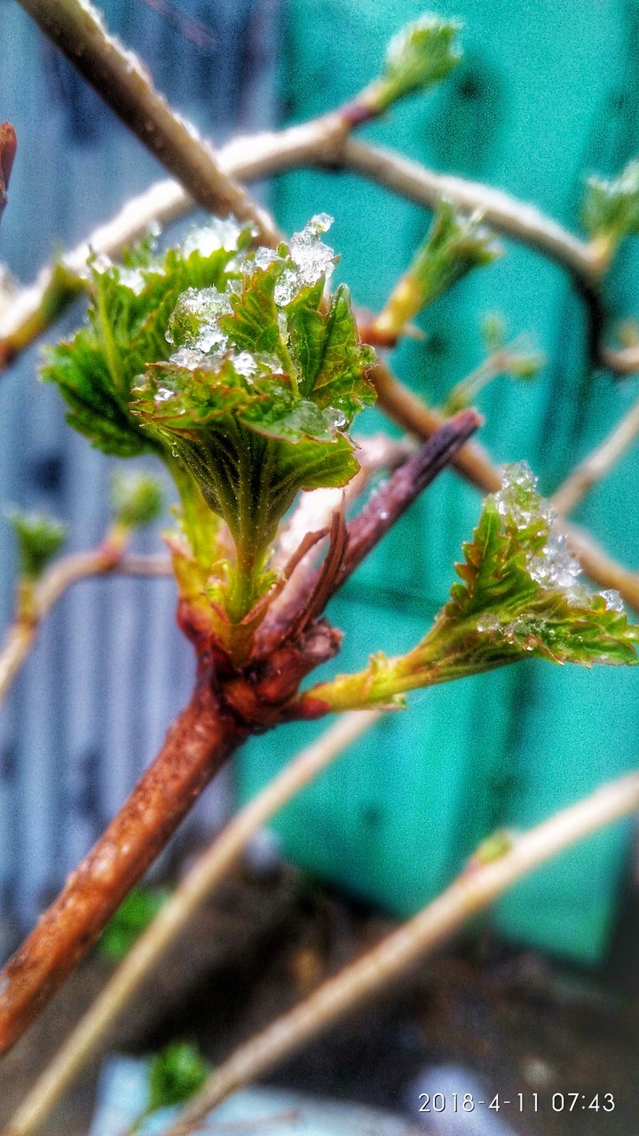 April's snow