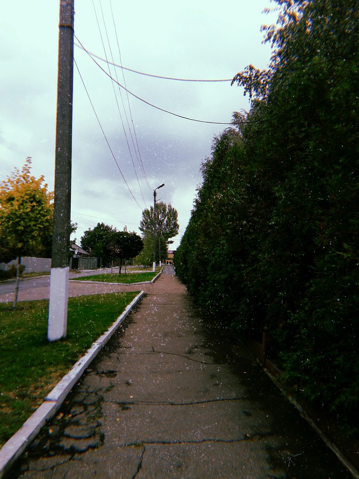 Осенняя улица // Autumn street