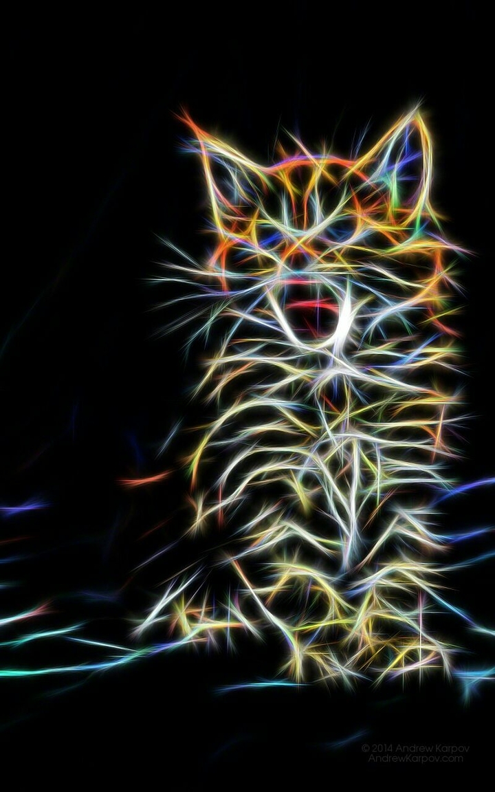 cat