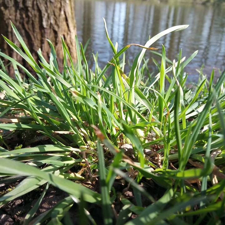 Nature with its glory