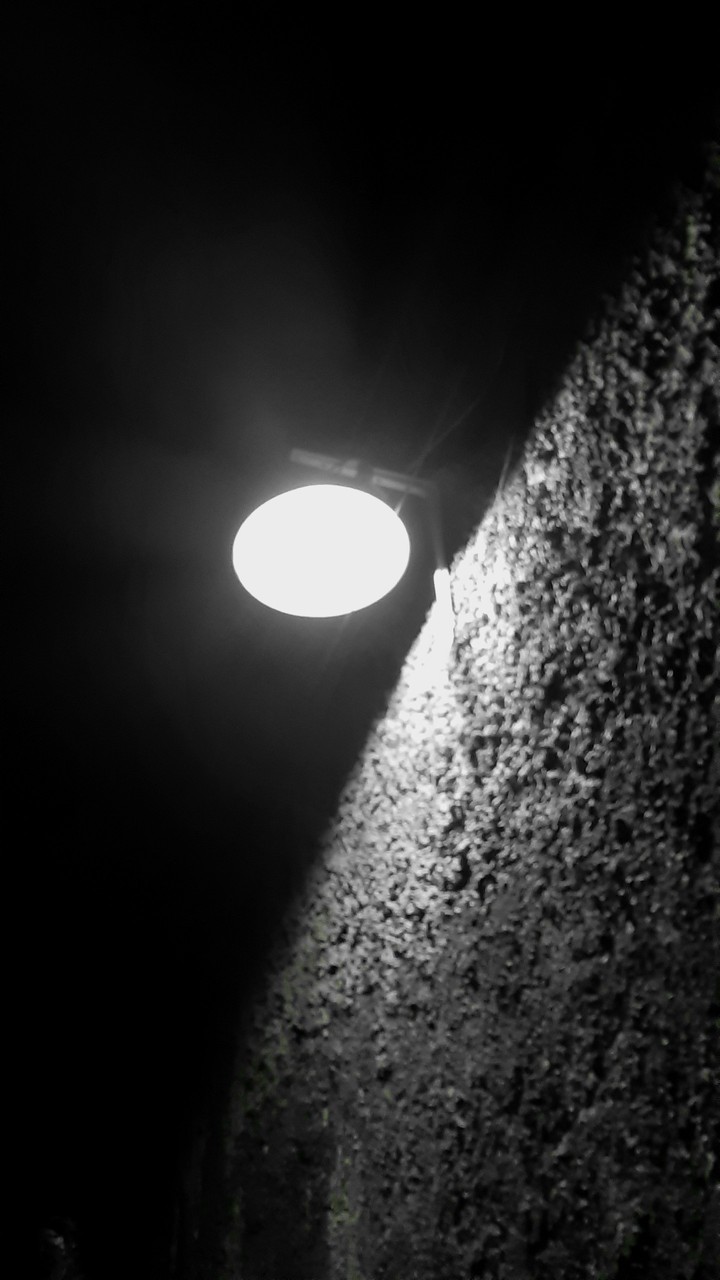 monolight