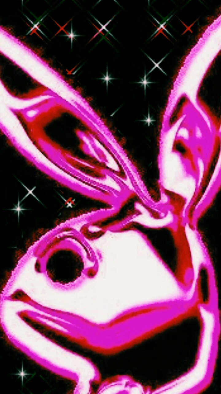 PLAYBOY