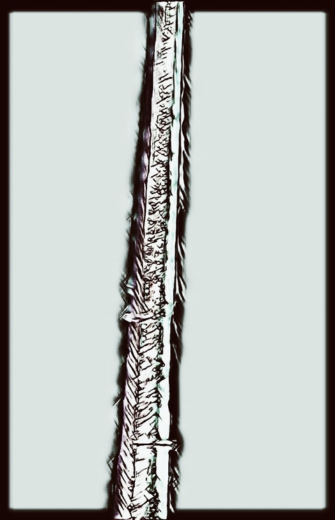 Spinal cord (Perhaps)