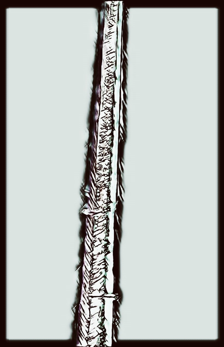 Spinal cord (Perhaps)
