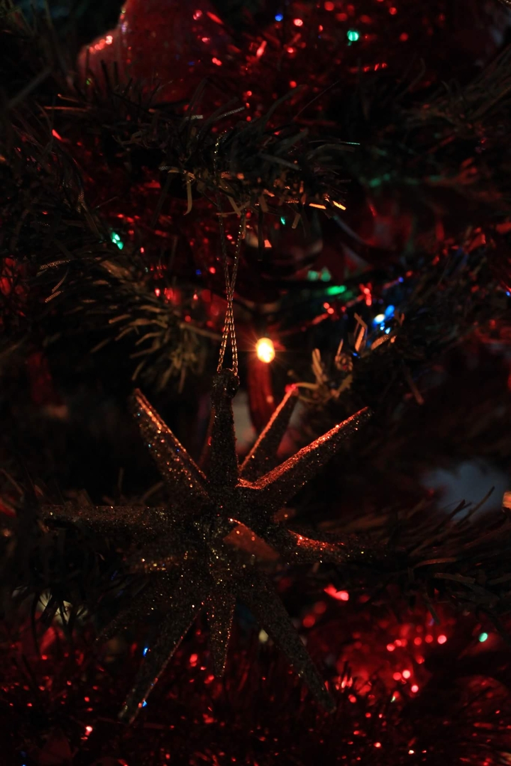 Shiny star globe in Christmas tree
