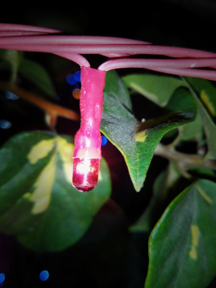 light