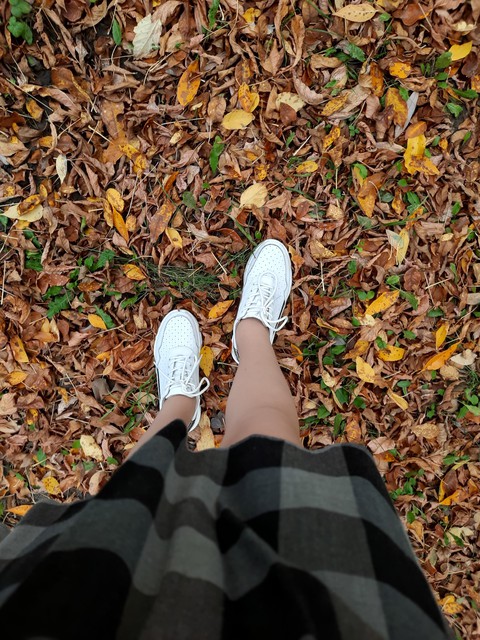 autumn