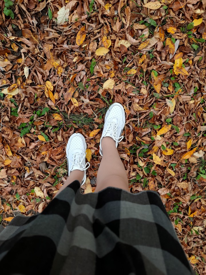 autumn